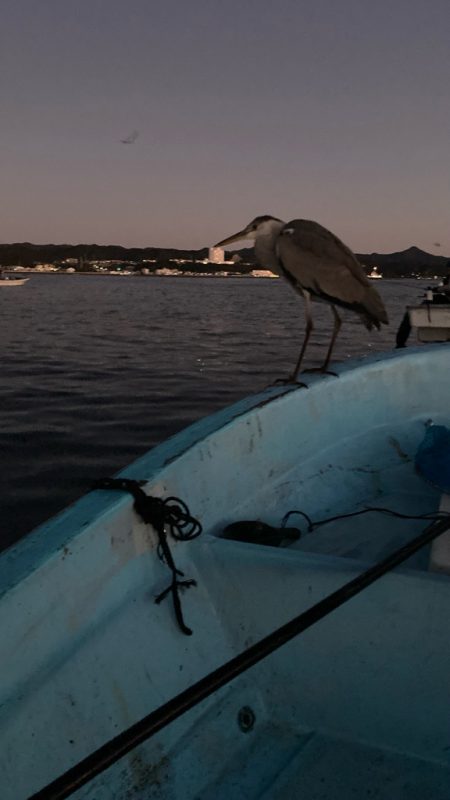 串本カセ釣り