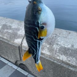 新年初の釣り