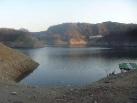 1月の淡水魚