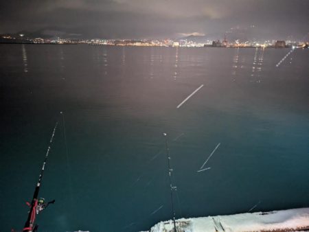 小樽港でカワガレイ、ハゼとチカ上がる！！　ニシン釣れず