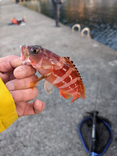 陸っぱり釣行記