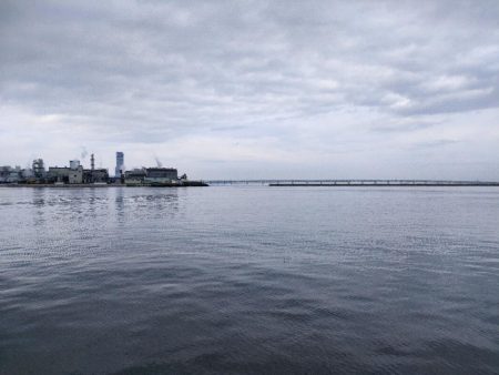 泉佐野食品コンビナートでメバル