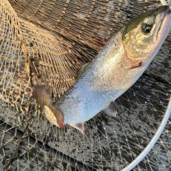 海恵さんにて久しぶり釣り堀