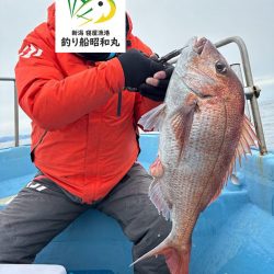 新潟寝屋港の釣り船昭和丸　真鯛、甘鯛タイラバLJ便2月25日釣果情報