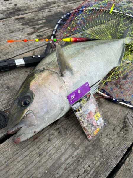 少人数貸し切りで釣堀紀州🎣