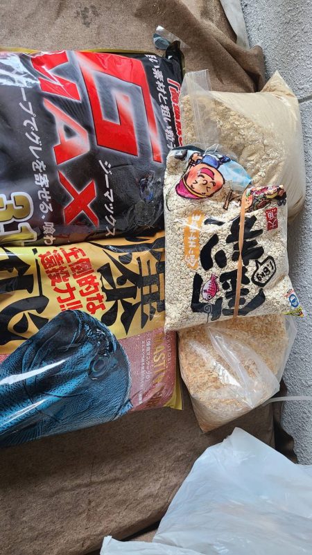 和歌山市江（吉丸渡船）でグレ釣り