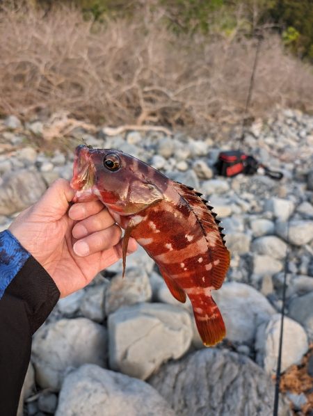 陸っぱり釣行記