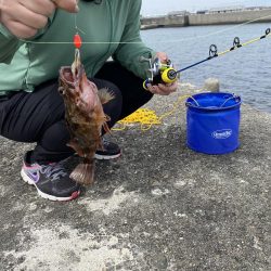 加太穴釣り