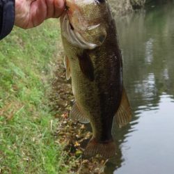 春の釣り