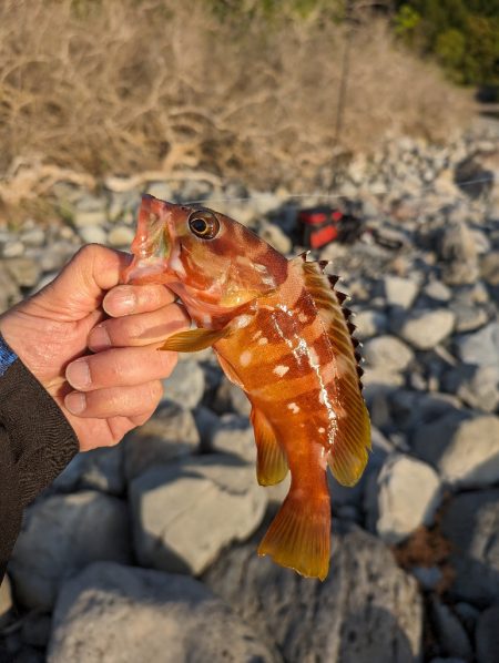 陸っぱり釣行記