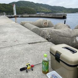 加太穴釣り