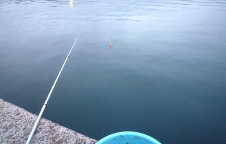 今季初亀川漁港で防波堤釣り
