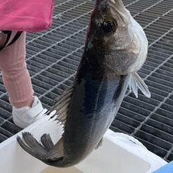 エビ撒き釣り