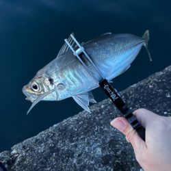 淡路島で釣り🎣