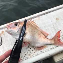 鯵サビキ釣り