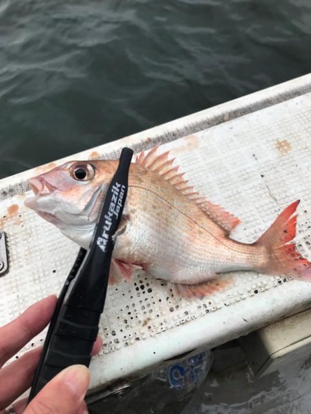 鯵サビキ釣り