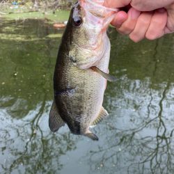 午後からボート釣行！