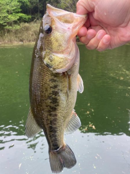 1日ボート釣行！