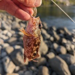 陸っぱり釣行記