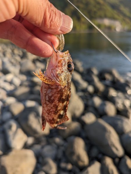 陸っぱり釣行記