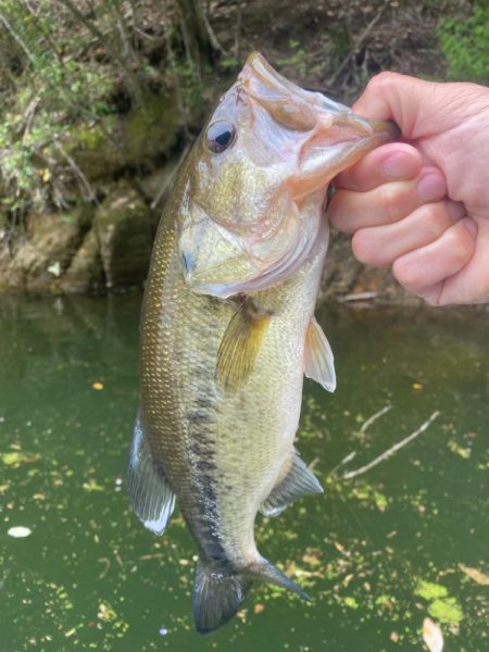 1日ボート釣行！