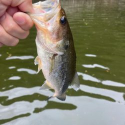 昼からボート釣行！