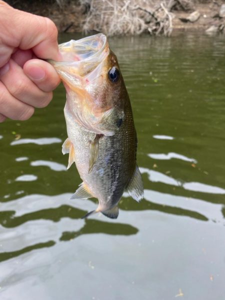 昼からボート釣行！