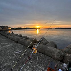 キス釣り、アジ釣り