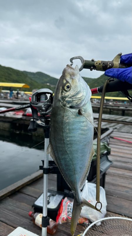 釣り堀　水宝