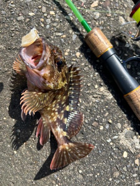 帰ってきた初夏の穴釣り