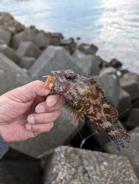 陸っぱり釣行記