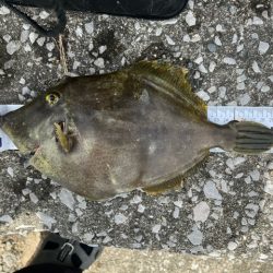 釣り餌メーカーさんのチヌ釣り大会に参加しました