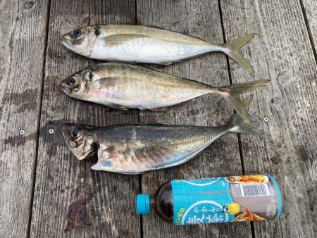 震災後初の能登島