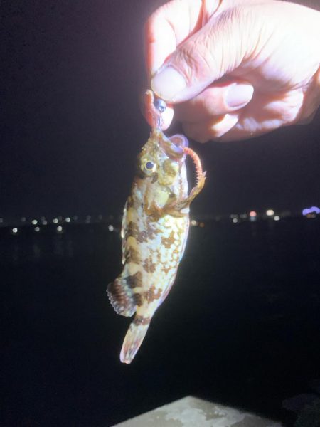 貝塚水路にて昨日のリベンジ　　成功！