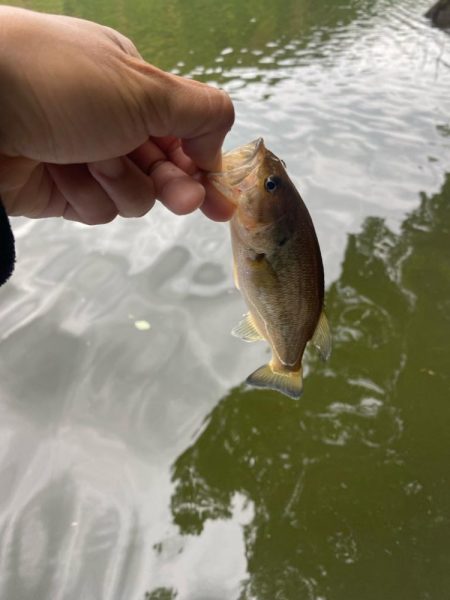 昼からボート釣行！