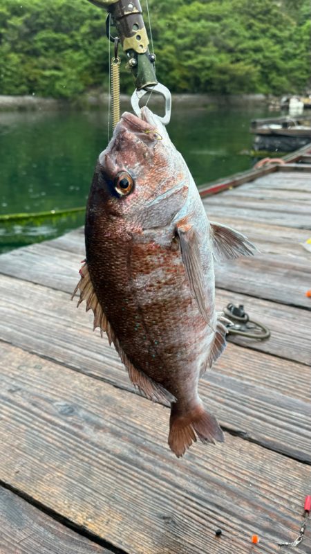 釣り堀　水宝