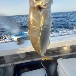 中紀ジャンボ平アジ釣り