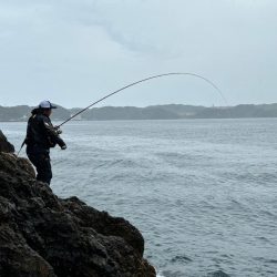 和歌山勝浦（清丸渡船）でグレ釣りトーナメント