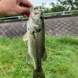 連続のバラし！なんとか一匹