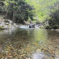 今年度の初釣果