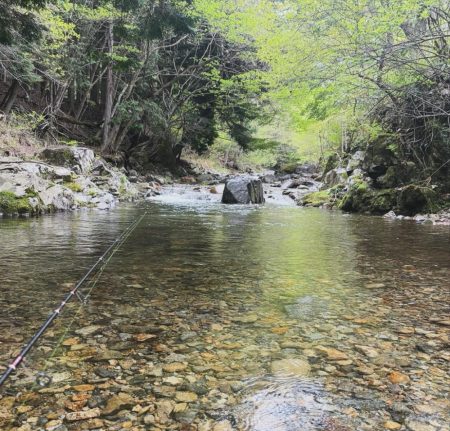 今年度の初釣果