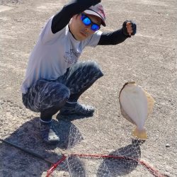 播磨新島のキス釣査