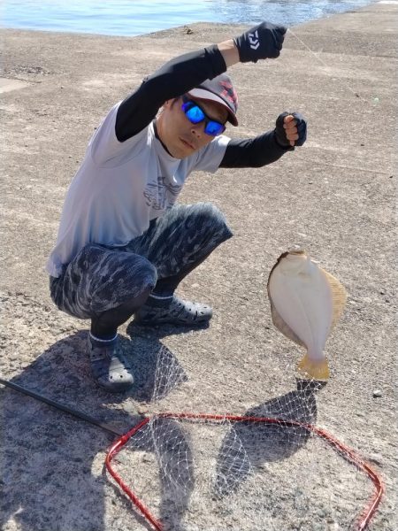 播磨新島のキス釣査