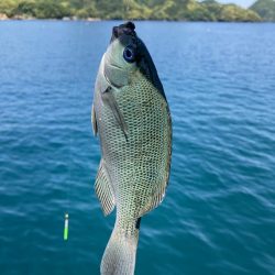 紀州釣り