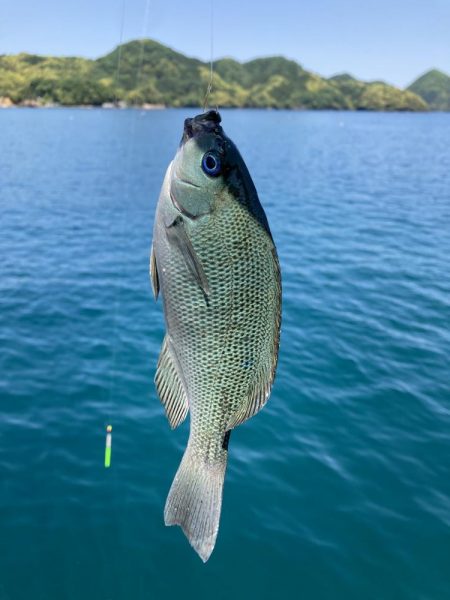 紀州釣り