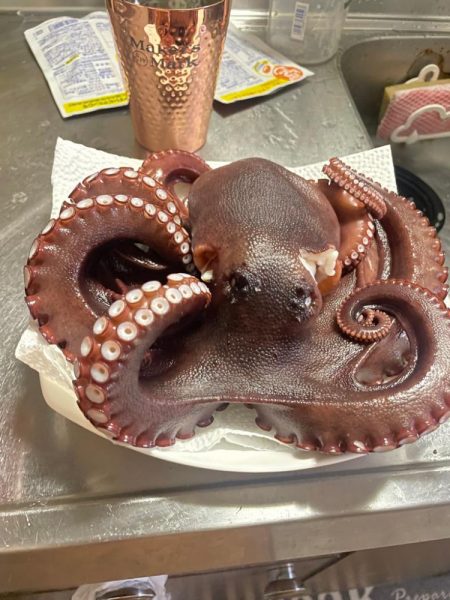 タコタコ🐙