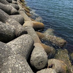 帰ってきた初夏の穴釣り