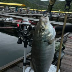 釣り堀　水宝