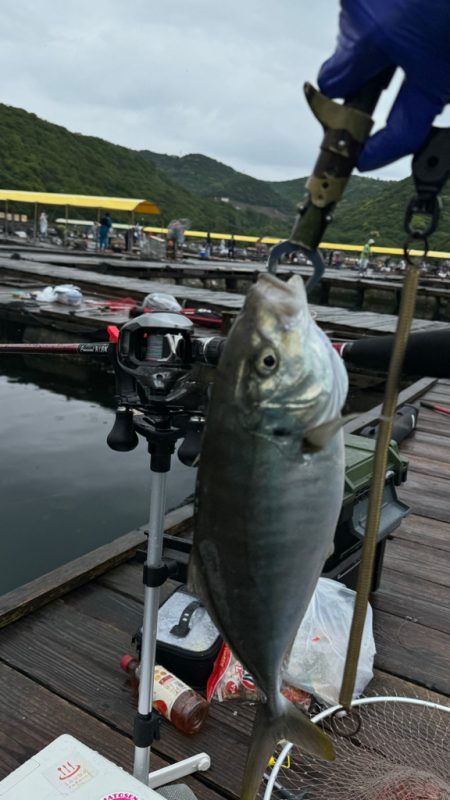 釣り堀　水宝