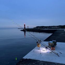 キス釣り、アジ釣り